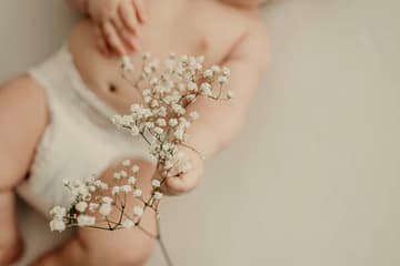 Triada Health Ottawa Image of a chiropractor gently holding and adjusting a baby.