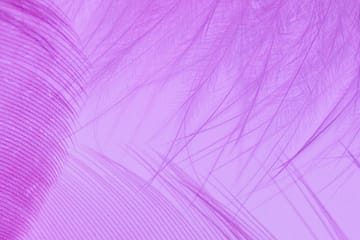 Triada Health Ottawa Cesarean section massage
