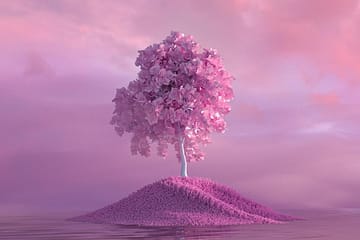 Manual lymphatic drainage massage for lipedema supporting lymphatic circulation and tissue health at Triada Health Ottawa